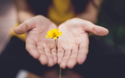 Givers Until the Day (Eph. 3:14-21)